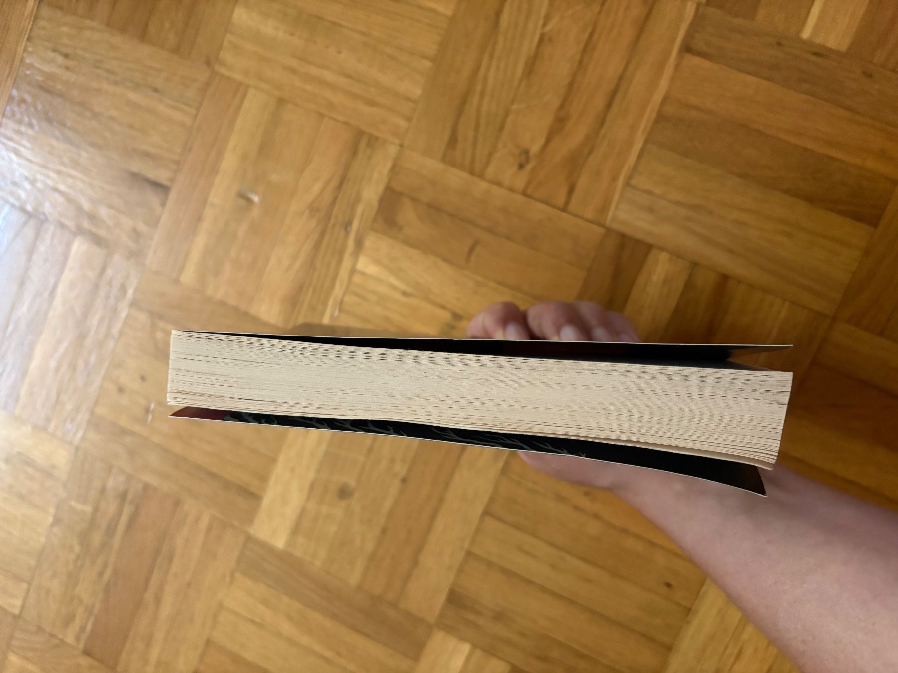 Libri: Harry Potter et la chambre des secrets – Nuovo (secondo la descrizione) da Genève venduto da sunandwind 1