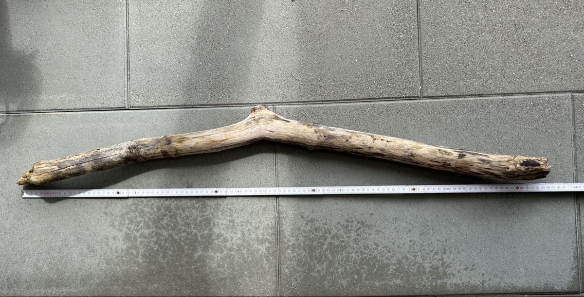 Articoli in legno: Schwemmholz Ast 104 cm lang  – Nuovo (secondo la descrizione) da St. Urban venduto da uschi73 1