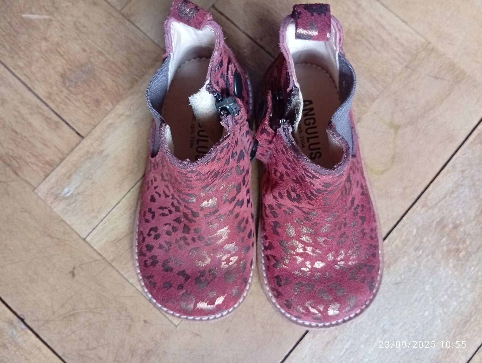 Scarpe per ragazzi: Angulus Kinder Lederstiffelette Gr. 21 – Nuovo (secondo la descrizione) da Zürich venduto da teblapi 1