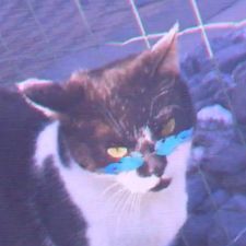 Profile image of Speeby