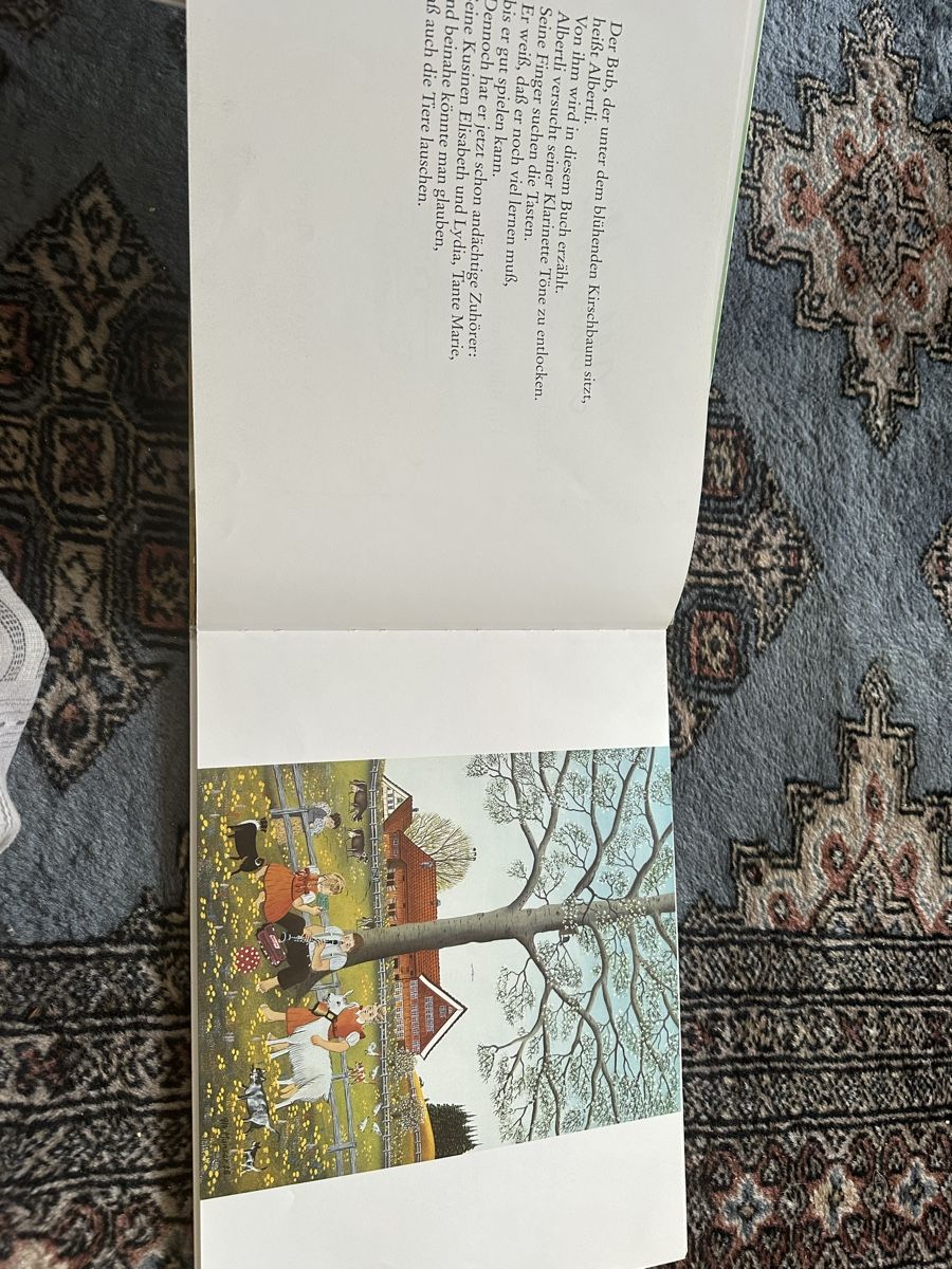 Libri: Alberti Albert Manser – Usato da Uster venduto da bek_v2ct 3