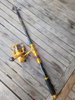 Gute Fischerrute inklusive Rolle 240cm