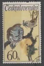 Alle Briefmarken: TSCHECOSLOWAKEI : FÜTTERUNG VON KUCKUCK     (29 – Gebraucht aus Ruggell von Masescha