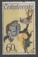 TSCHECOSLOWAKEI : FÜTTERUNG VON KUCKUCK     (29