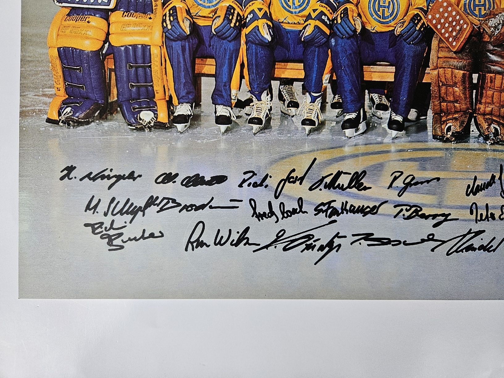 Foto & Immagini: Poster HCD Schweizermeister Saison 1983/84 – Usato da Wildhaus venduto da oceanotter 3