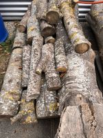 Brennholz trocken gemischt, Esche 
