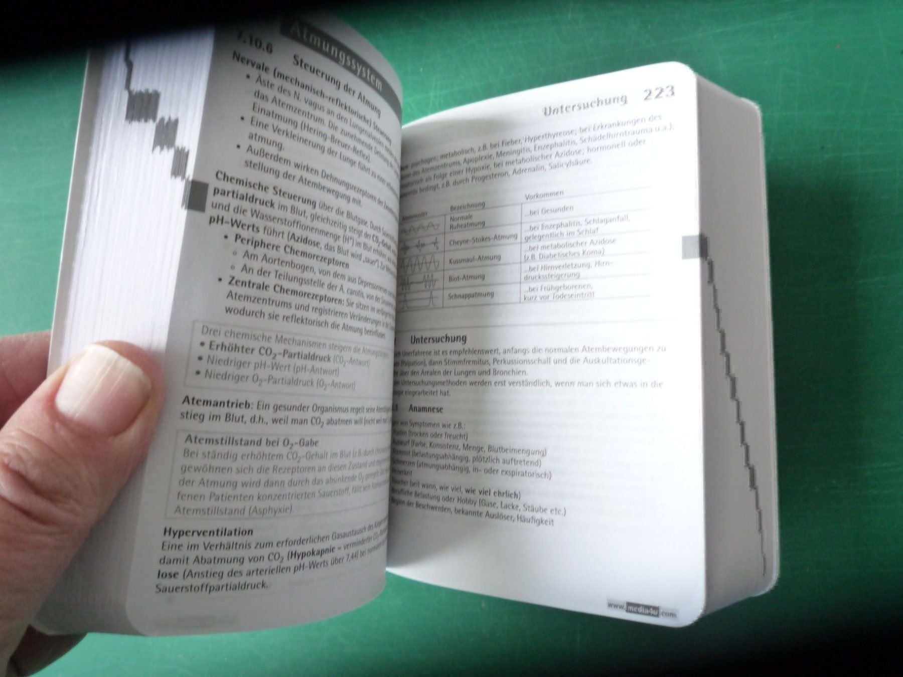 Bücher: Mensch Körper (Pocket) – Neu (gemäss Beschreibung) aus Rafz von Sonnenblume305 1