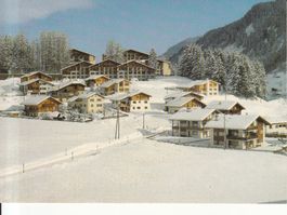 Disentis 1983