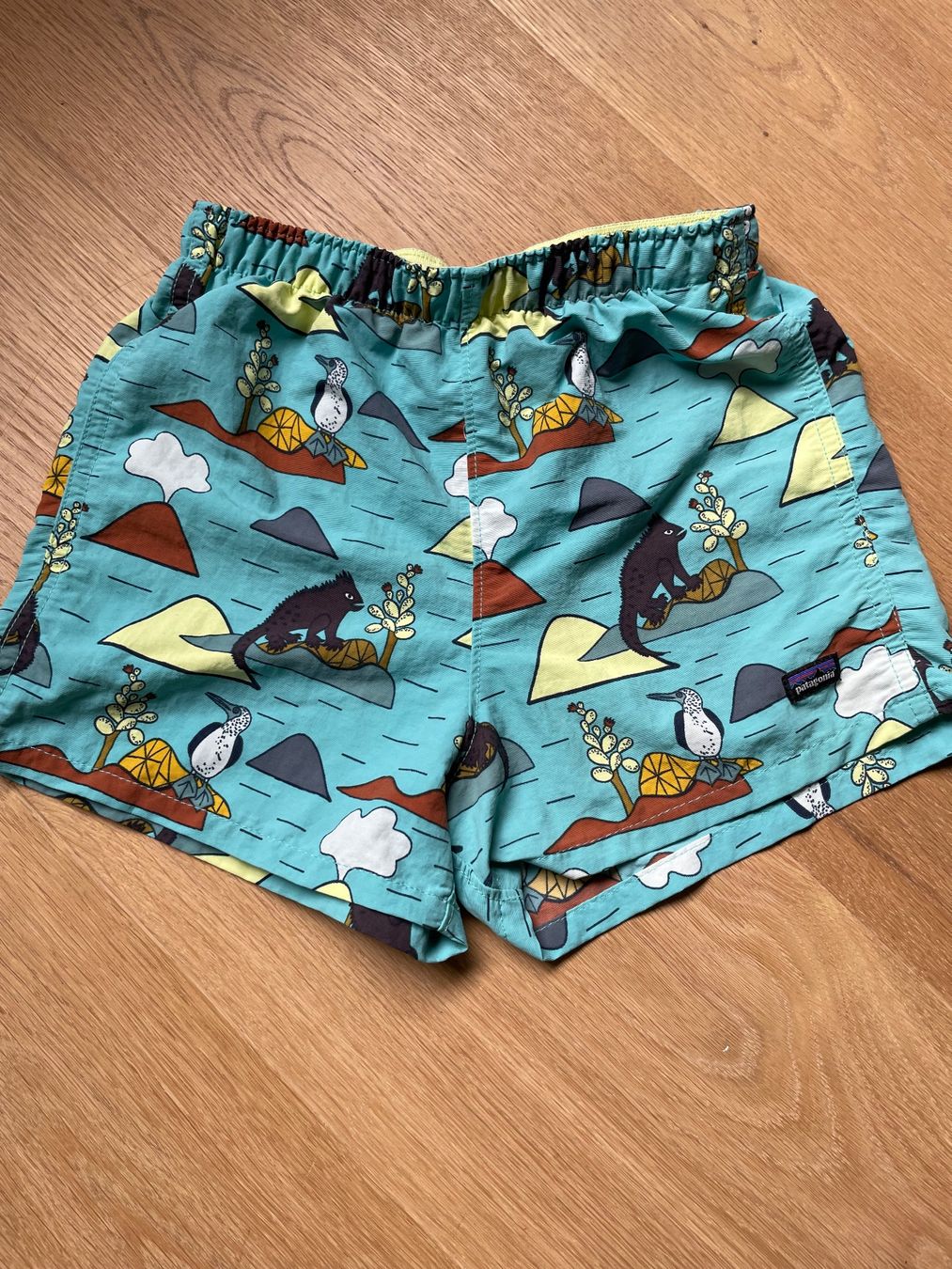 Patagonia Pantaloni: Patagonia Baggie Shorts 3T – Usato da Nidau venduto da Lofoten12
