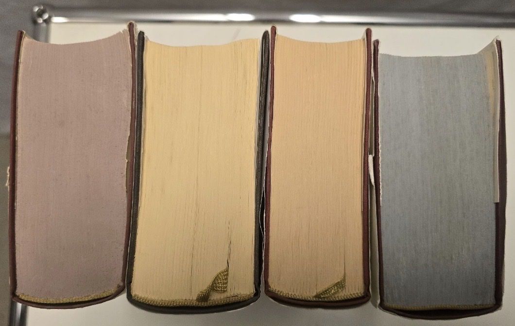 Libri: Manesse Bibliothek – Usato da Unterlunkhofen venduto da Beko80 3