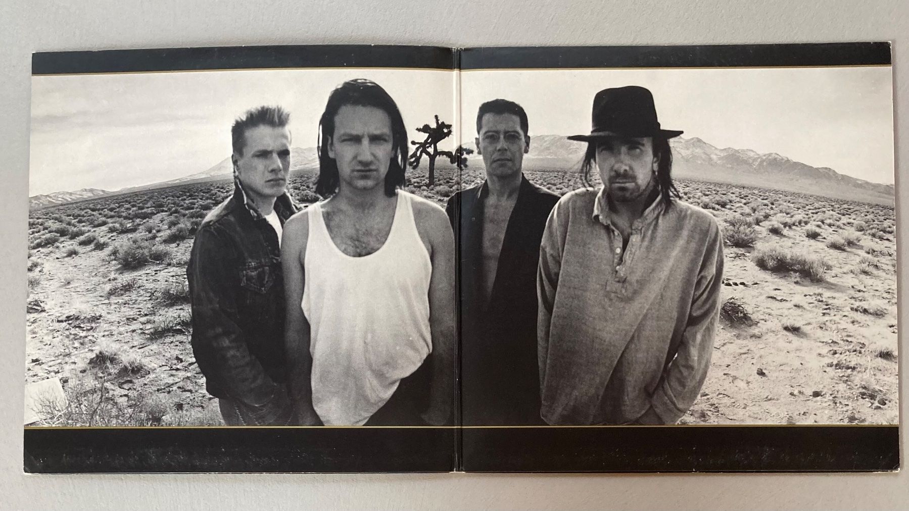 Dischi in vinile: U2 - The Joshua Tree - LP – Usato da dachsen venduto da oheio 2