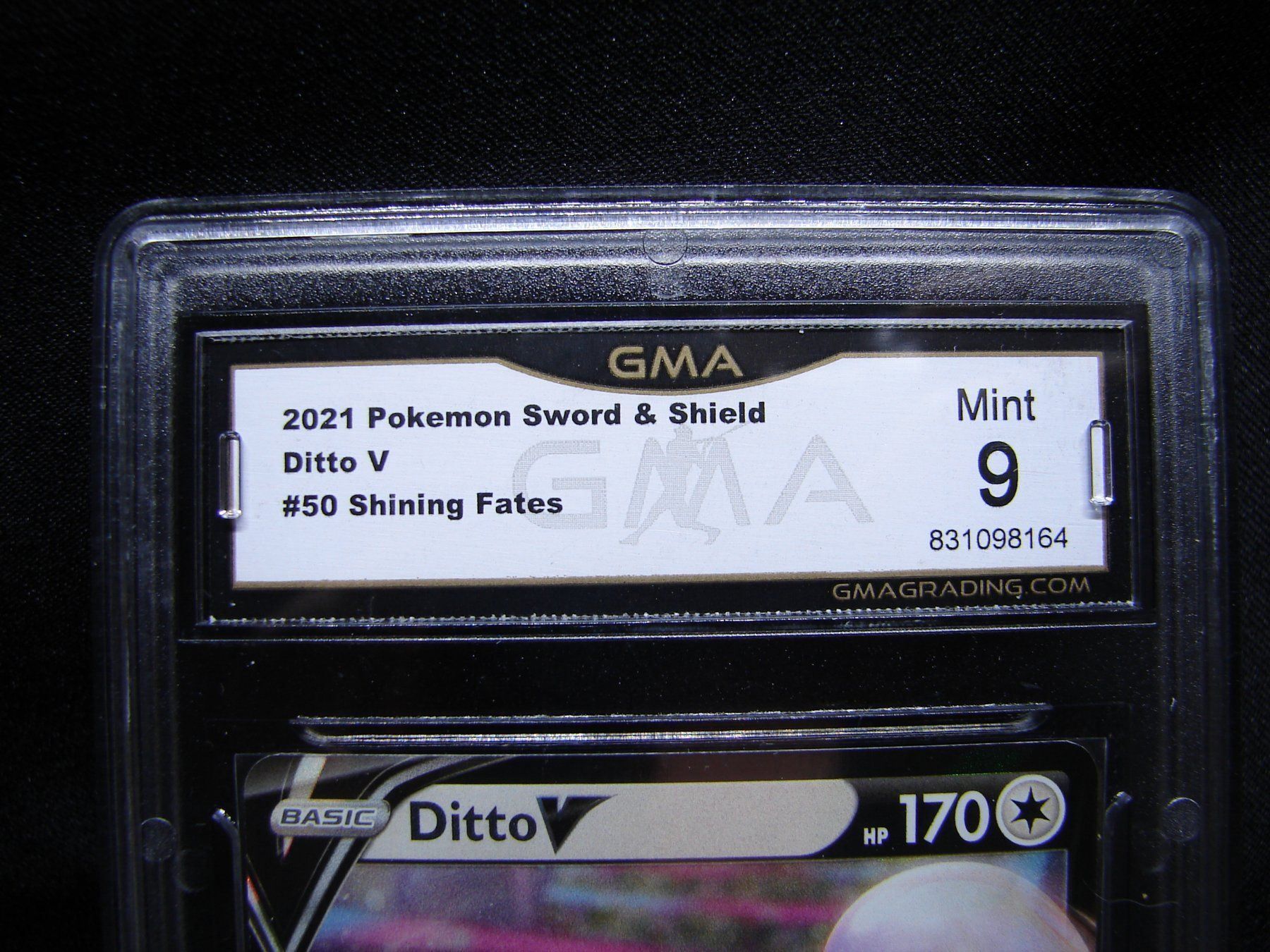 Pokémon Carte collezionabili: Ditto V Ultra Rare Rev. GMA Mint 9  /211 – Nuovo (secondo la descrizione) da Rümlang venduto da coh_87ww 1