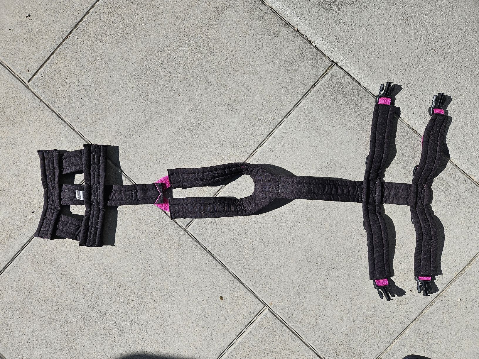 Anny X Leine & Halsband: Anny X Safety M – Gebraucht aus Bronschhofen von Savi_48 3