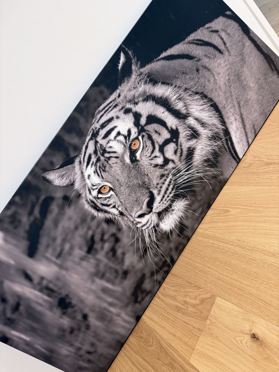 Poster & Bilder: Bild Tiger Schwarz Weiss - Leinwand – Neu (gemäss Beschreibung) aus Dielsdorf von Ale_Cop 1