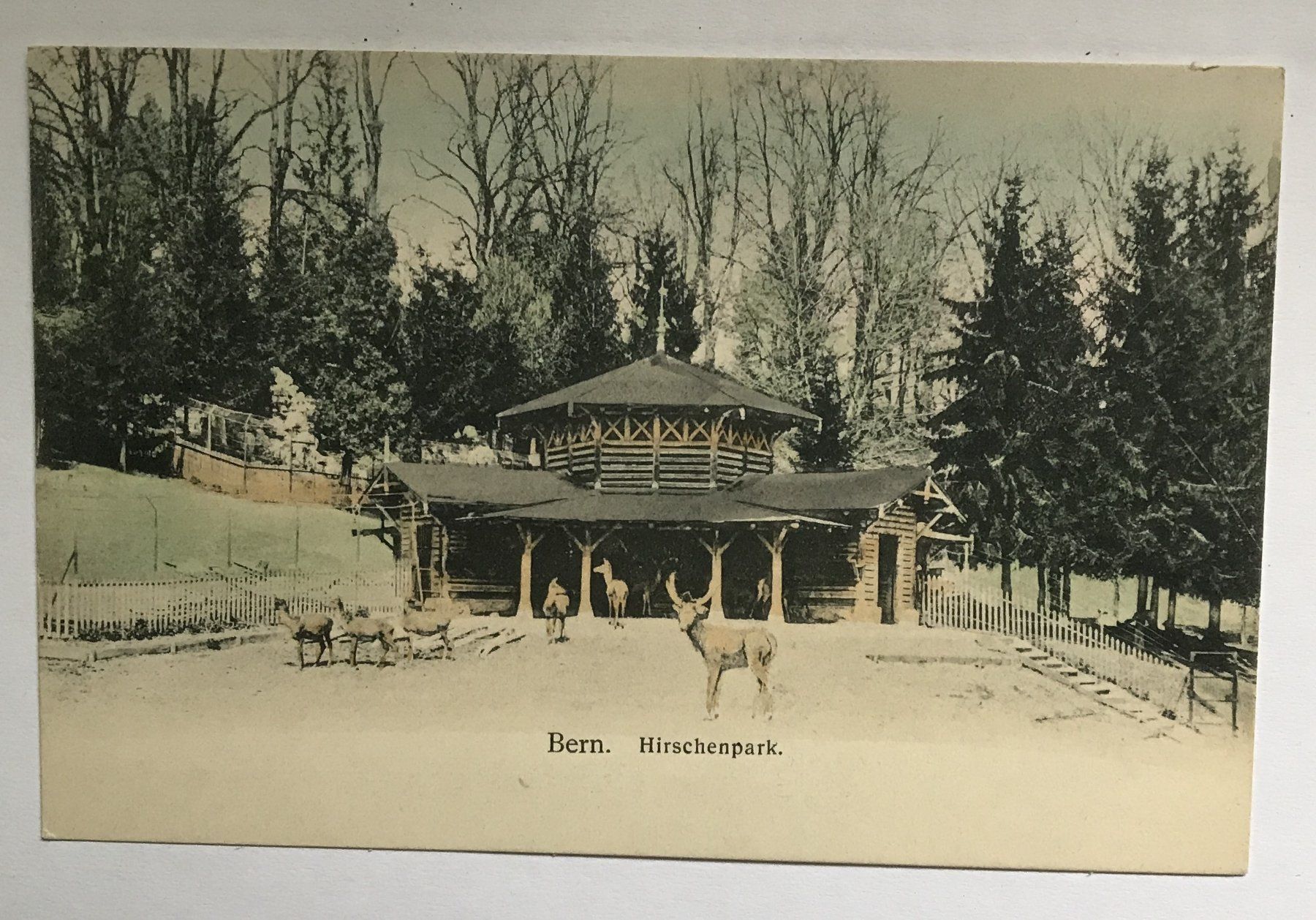 Ansichtskarten: ALTE ANSICHTSKARTE BERN HIRSCHENPARK – Gebraucht aus Ostermundigen von wini63