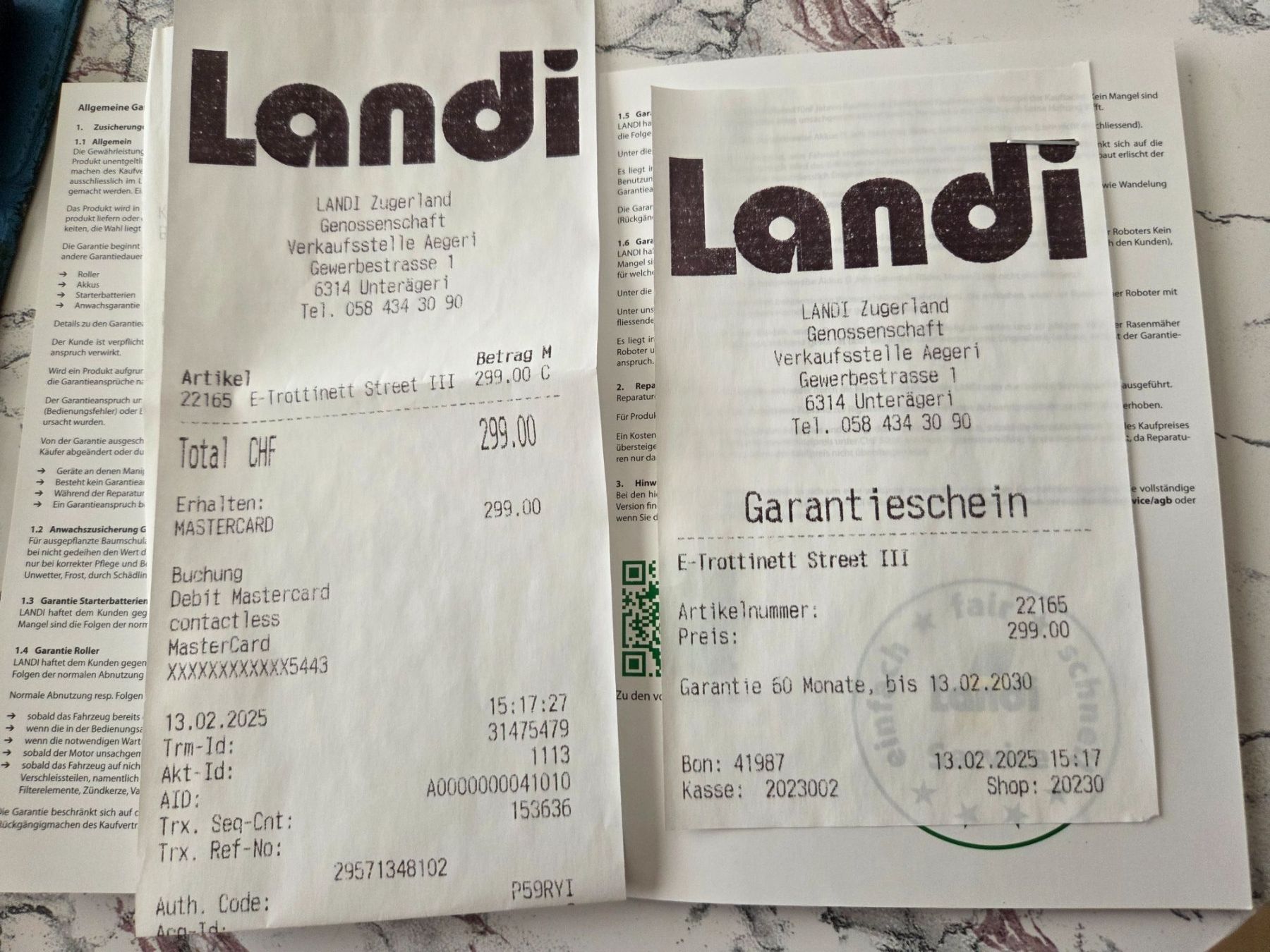 Scooters: E-Scooter Street 3 von Landi – Defekt aus Unterägeri von Jason11111 4