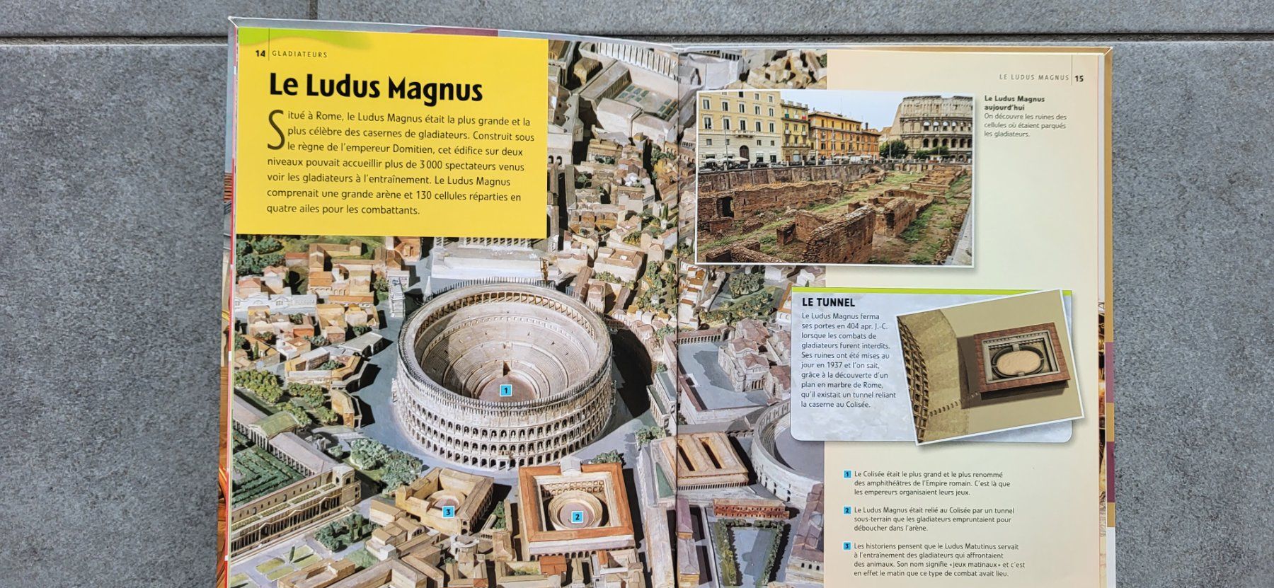 Libri: Gladiateurs – Usato da Sembrancher venduto da Jbc71 2