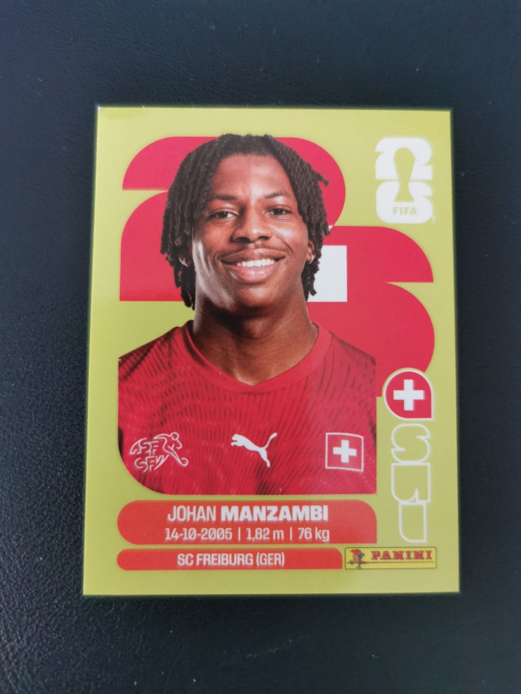 Panini Carte collezionabili: Panini FIFA World Cup Sticker SUI 15 – Nuovo (secondo la descrizione) da Glattbrugg venduto da riseca