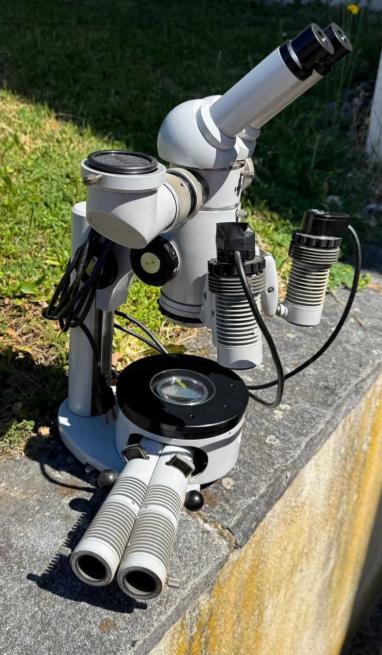 Microscopi: ZEISS Stereo Mikroskop – Usato da Rumendingen venduto da Tschangie
