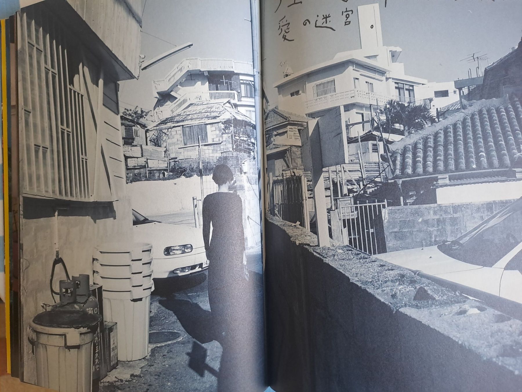 Libri: LOVE LABYRINTH NOBUYOSHI ARAKI – Usato da LAUSANNE venduto da KWEW 4