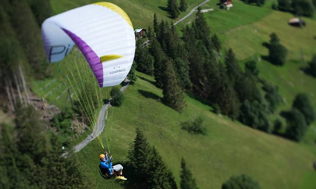 Altro: Advance Pi1 - parapente / parapendio / Gleitschirm – Usato da Rivaz venduto da P.Tribel