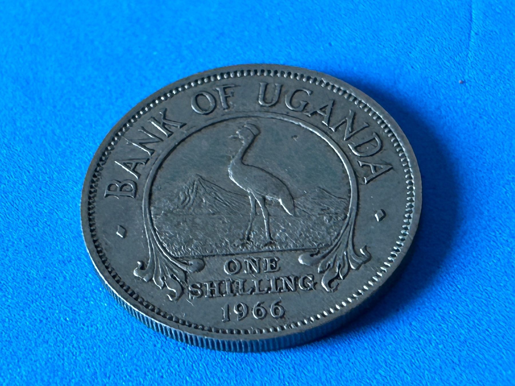 Alle Münzen: Uganda - 1 Shilling 1966 – Gebraucht aus Corcelles NE von AJKader