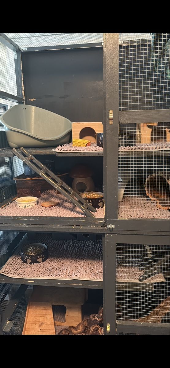 Cages, transport & sécurité: holzkäfig zu vergeben – D'occasion à uznach par Idefix029 1