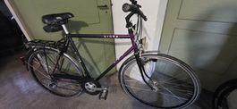 Herren Velo