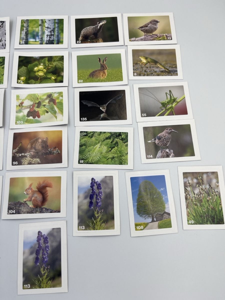 Migros Carte collezionabili: Migros Nature Detectives Bildli "27 Stuck" – Nuovo e nell'imballaggio originale da Bäch SZ venduto da Swissy46 2