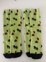 Dackel Socken 🧦
