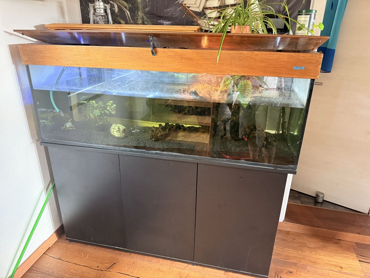 Acquari: Aquarium 400 ltr – Usato da Ménières venduto da Bibigost