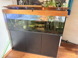Aquarium 400 ltr