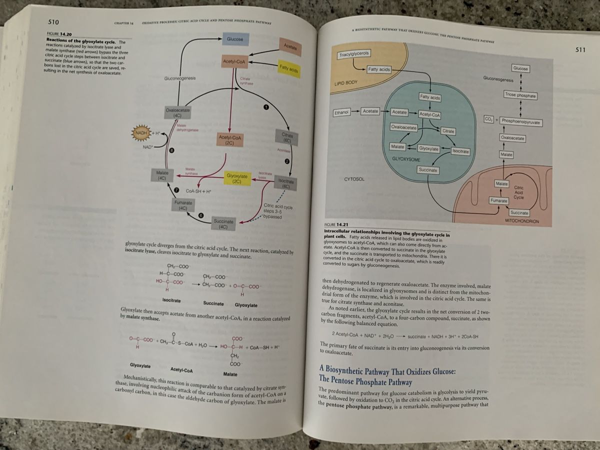 Livres: Biochemistry Textbook 3rd Edition By Mathews, Van Holde – D'occasion à Genève par sunsustains 7