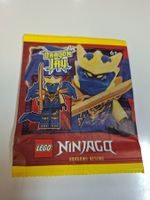 Lego Ninjago Minifigur Dragonform Jay