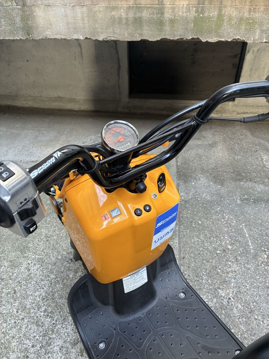 Honda Scooter: Honda NPS 50 Zoomer – Usato da Muttenz venduto da Jordan4127 3