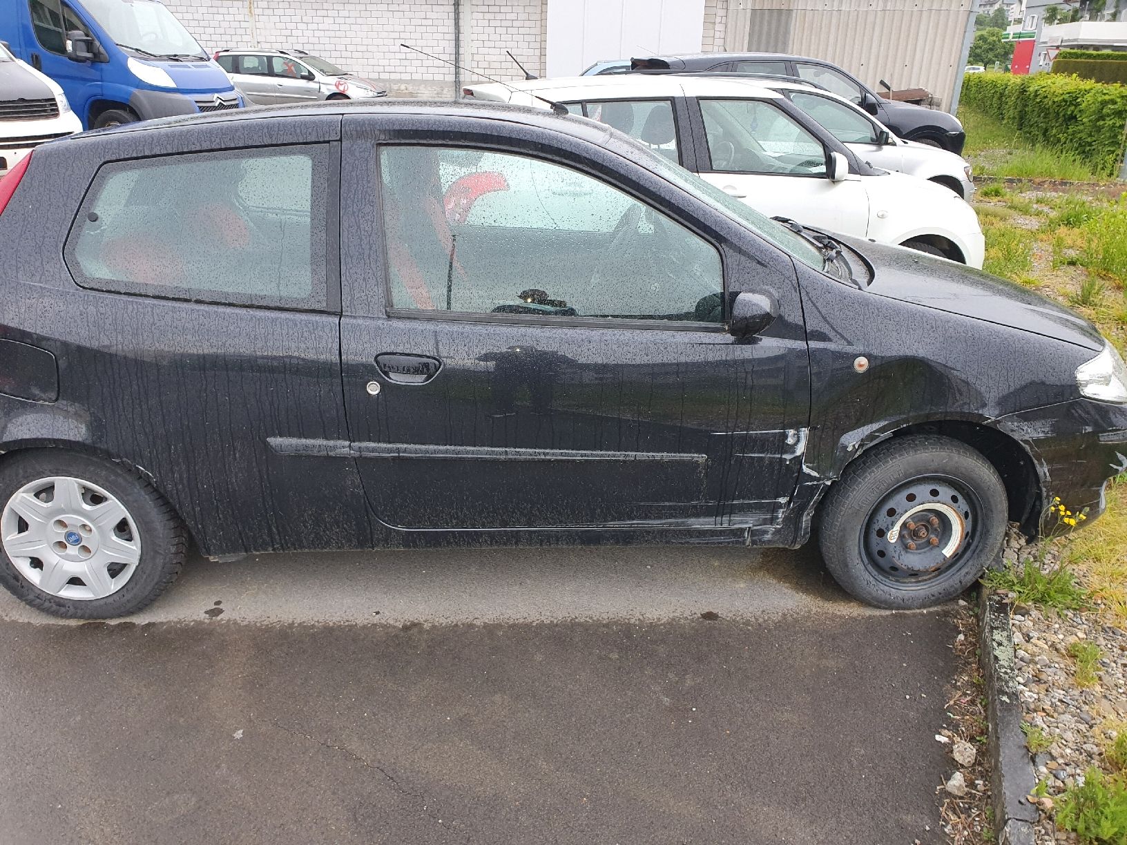 Fiat Automobili: Fiat Punto mit Mfk – Usato da uznach venduto da V.G75 1