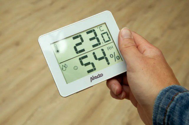 Altro per la casa: Alecto Thermometer WS-55 – Nuovo e nell'imballaggio originale da Bassersdorf venduto da COOL-AG 1