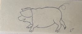 Lill TSCHUDI (1911-2004), Original, Schwein