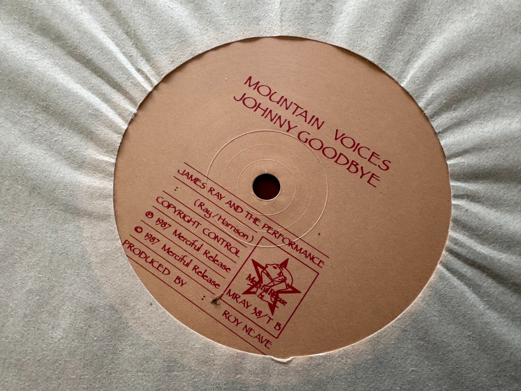 Dischi in vinile: JAMES RAY & THE PERFORMANCE 12 TEXAS - GOTHIC - ROCK GOTHIC – Usato da Sion venduto da jaipur1401 3
