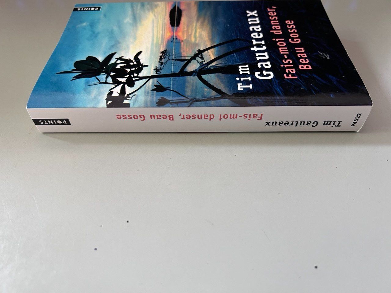 Libri: Libro "Fais-moi danser, Beau Gosse" Tim Gautreaux – Usato da Giubiasco venduto da LorisVale 2