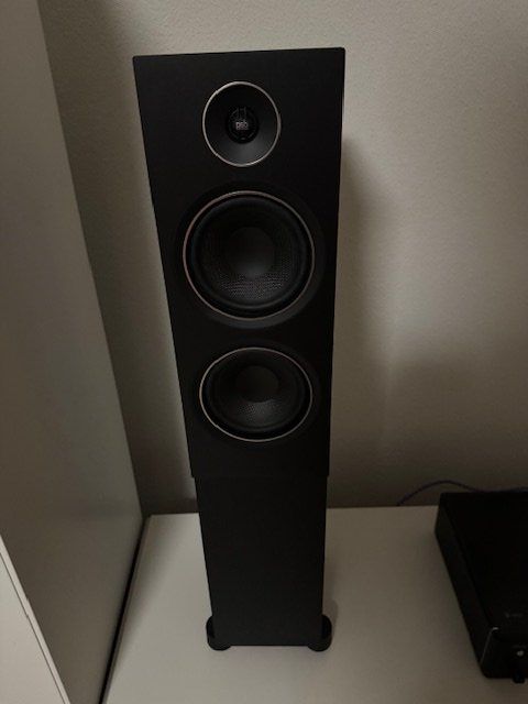 Casse acustiche: 2 PSB Alpha T20 Boxen – Usato da Buttwil venduto da Gm67