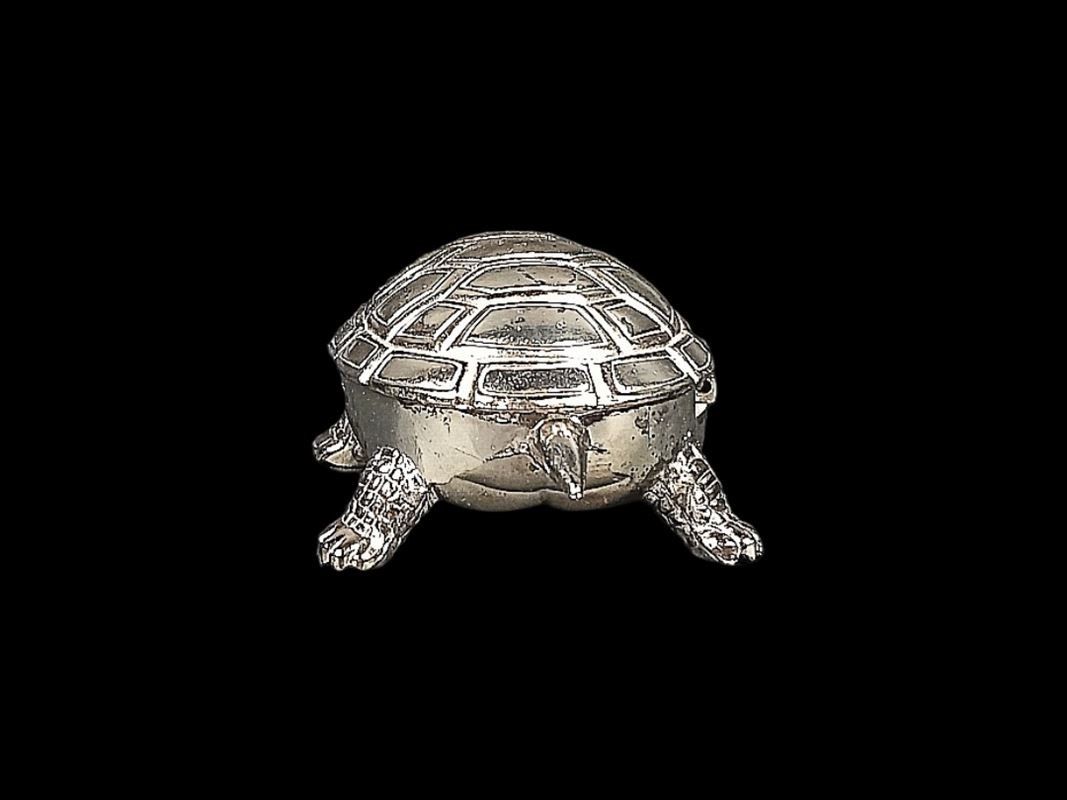 Sonstige Kosmetik & Pflege: Schildkröte, kleine Pillendose mit Zange – Gebraucht aus Hünenberg von Restwert_Zug 3