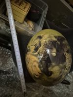 Afrika Straussenei XXL Löwe Elefant Unikat Kunst Handarbeit