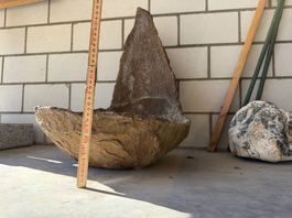 Handgemachte Bonsaischale in rustikaler Felsoptik