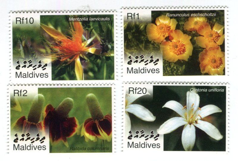 Tutti i francobolli: Briefmarken "Blumen". Malediven. – Nuovo e nell'imballaggio originale da Basel venduto da Butsch5
