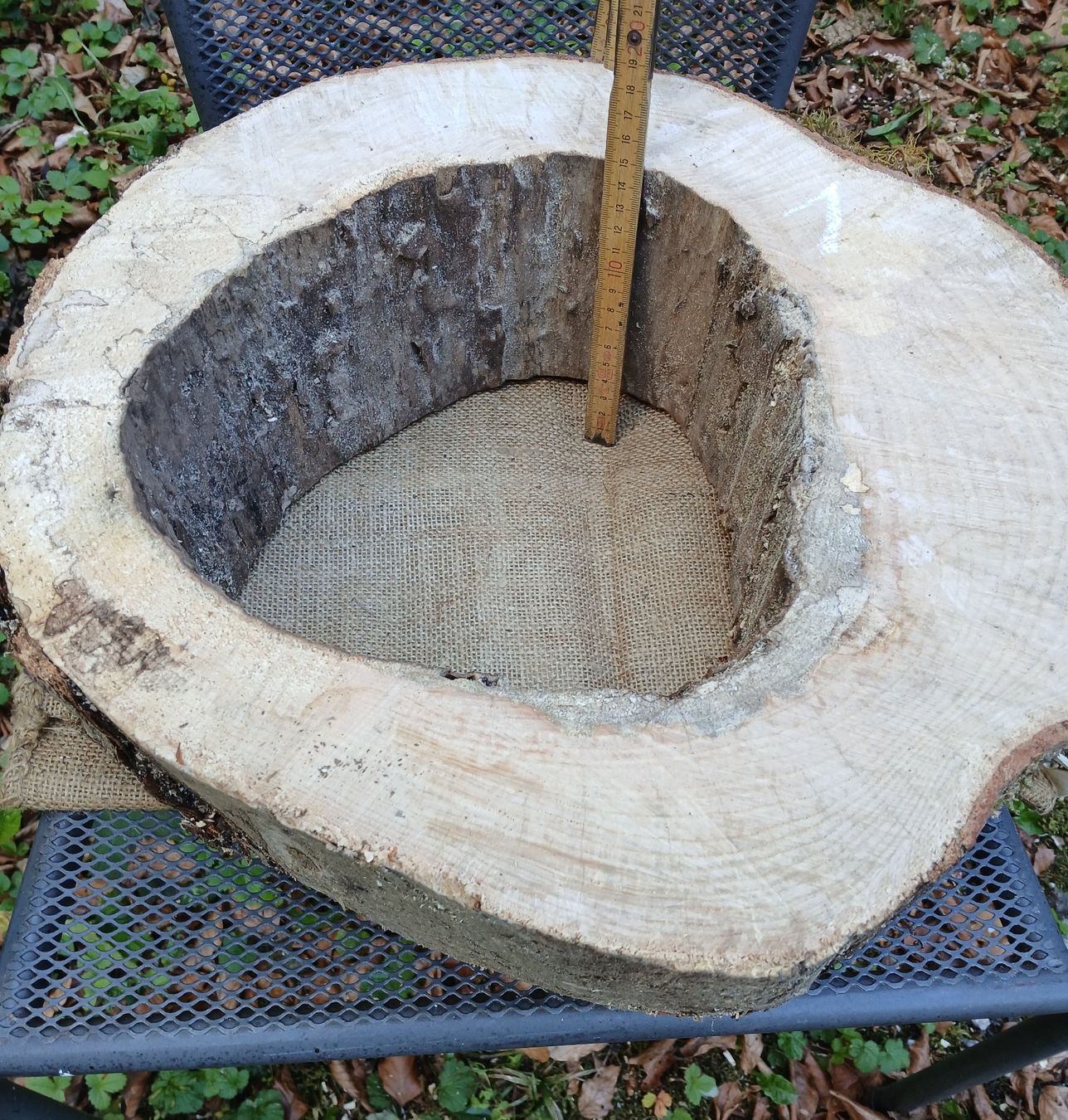 Holzartikel: Baumscheibe Natur hohl, roh >  B1 – Gebraucht aus Bilten von Archiv55 1