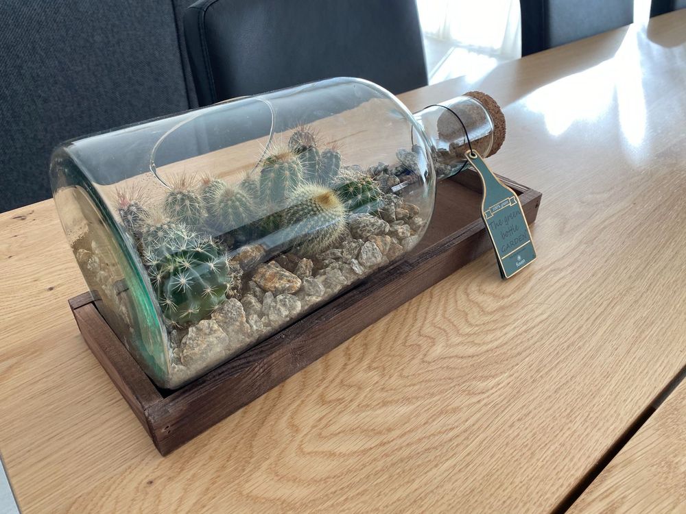 Kaktus in Glas Dekoration, bottle Garden
