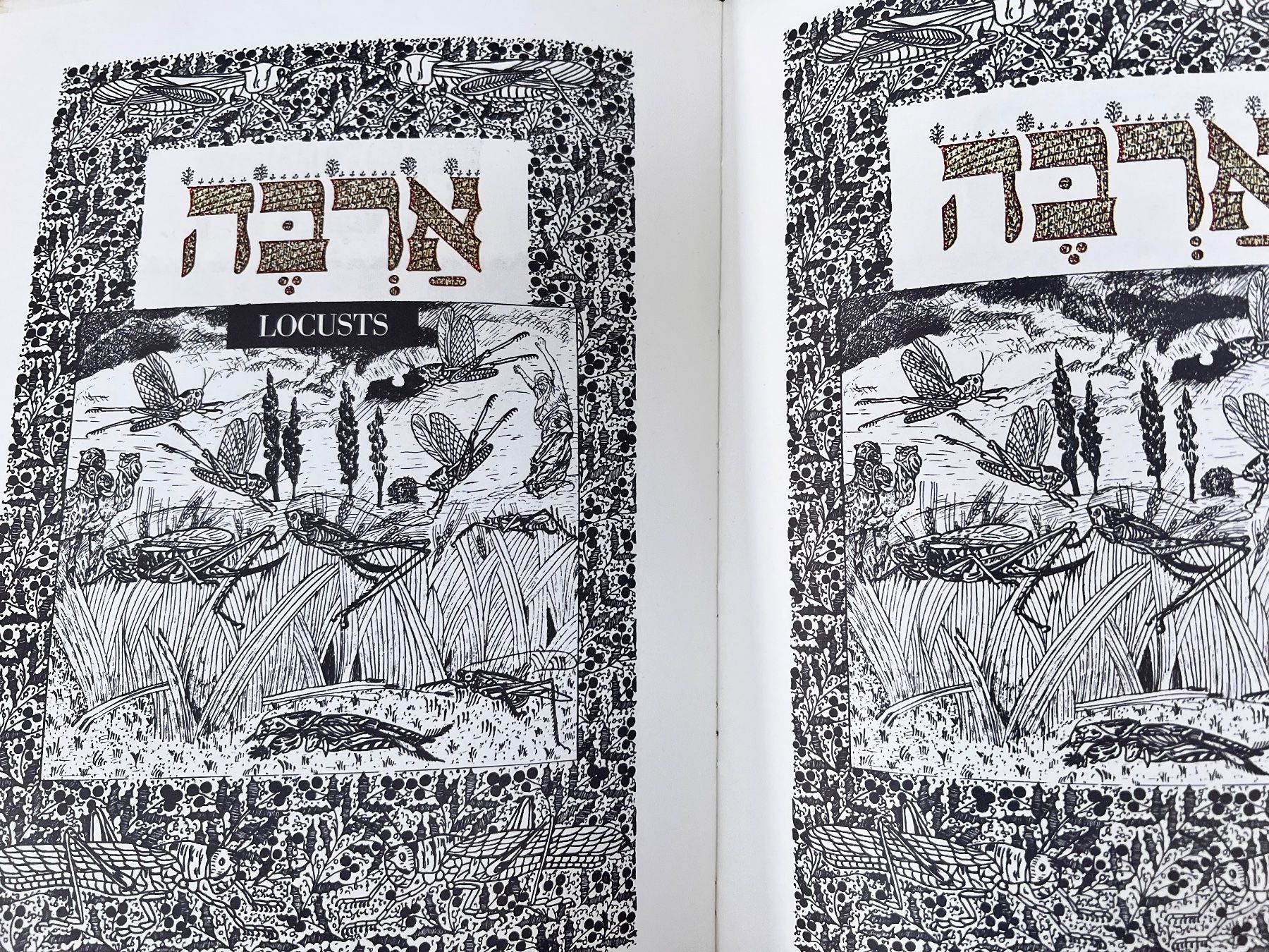 Libri: Judaika Passah Haggadah Israel – Usato da Emmenbrücke venduto da Balmoral 6
