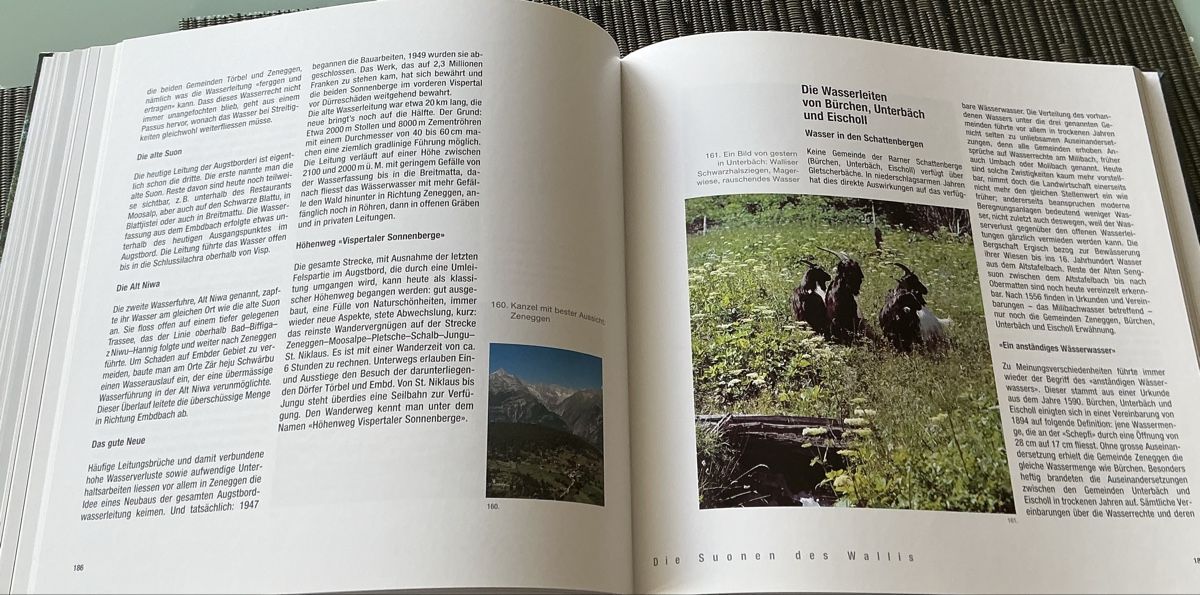 Livres: Die Suonen des Wallis - Rotten-Verlag 2000 – D'occasion à Crans-Montana par plainemorte 6