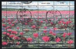 Kleinbogen Seerosen See - Bua Sai - Amazing Thailand 2000